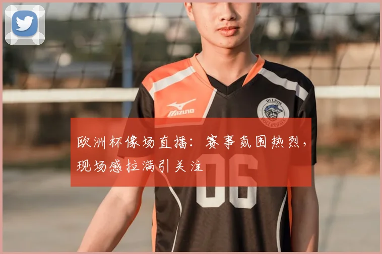 欧洲杯像场直播：赛事氛围热烈，现场感拉满引关注