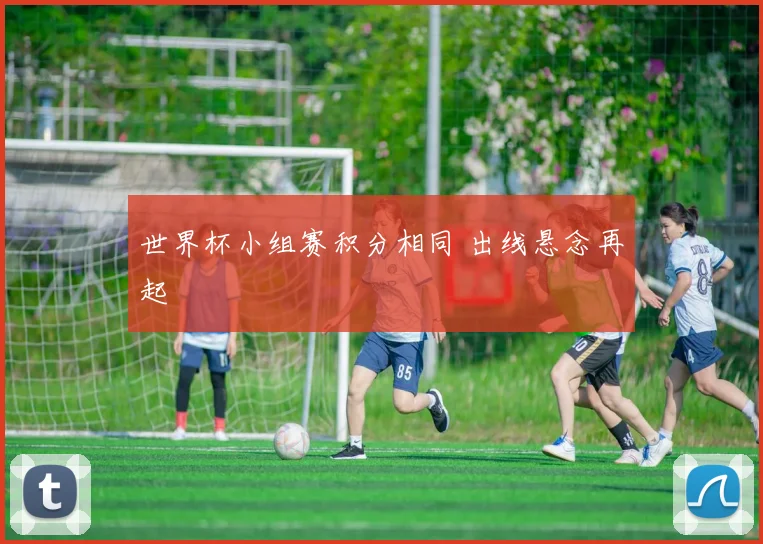 世界杯小组赛积分相同 出线悬念再起