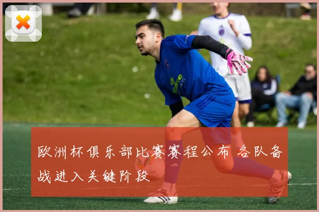欧洲杯俱乐部比赛赛程公布 各队备战进入关键阶段